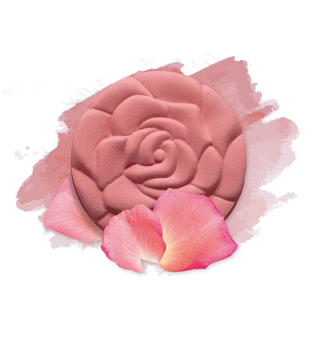 Blush rose - Image 2